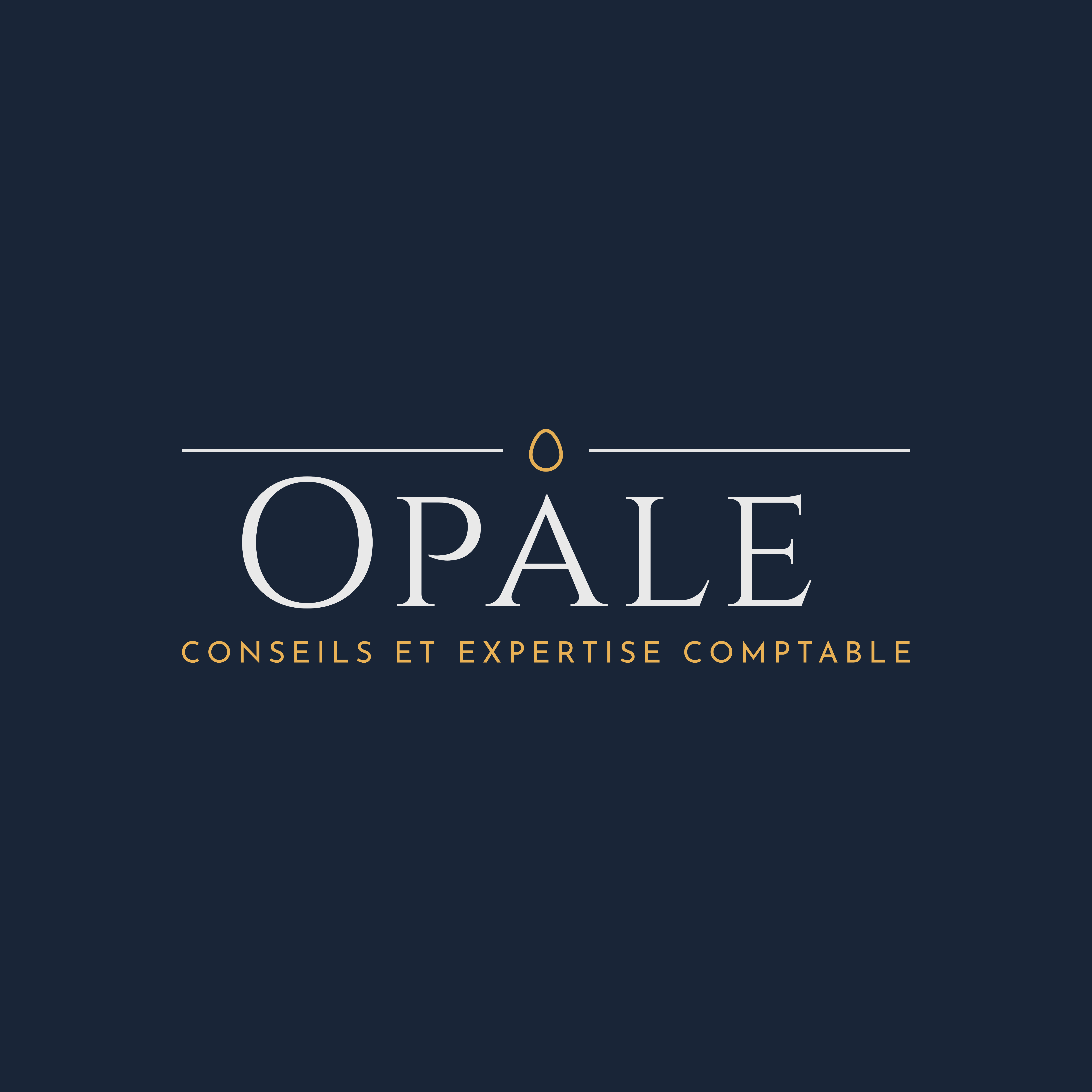 OPALE CONSEILS & EXPERTISE COMPTABLE-card-logo
